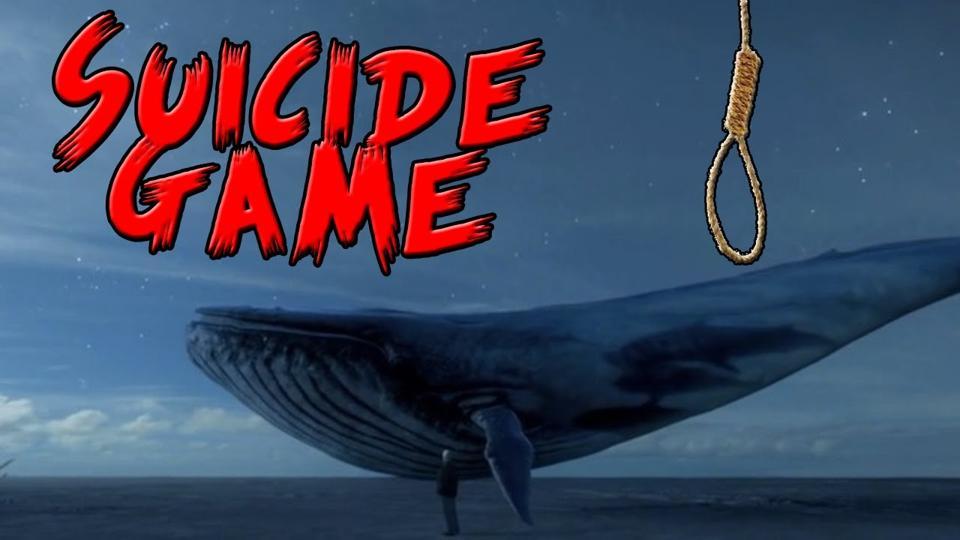 You are currently viewing Blue Whale Suicide Game